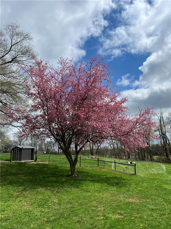 384 Grove Road Mercer, PA 16137 - Photo 48 of 50