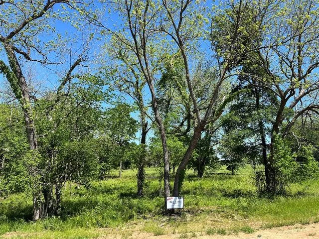 a view of backyard with green space