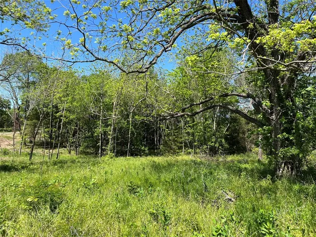 a view of wall with green space