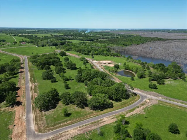 an aerial view of green landscape with trees houses and mountain view