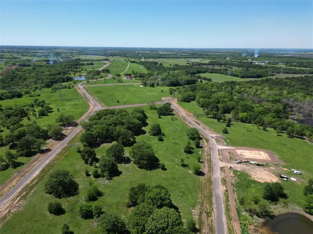 an aerial view of green landscape with trees houses and mountain view