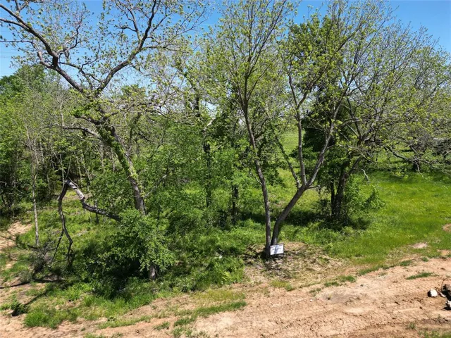 a view of outdoor space and trees