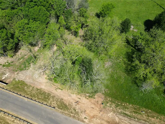 a view of a yard with plants and tree