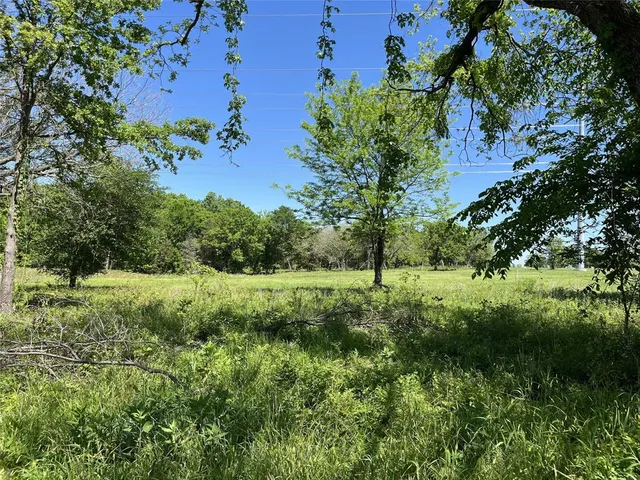 a view of a lush green space