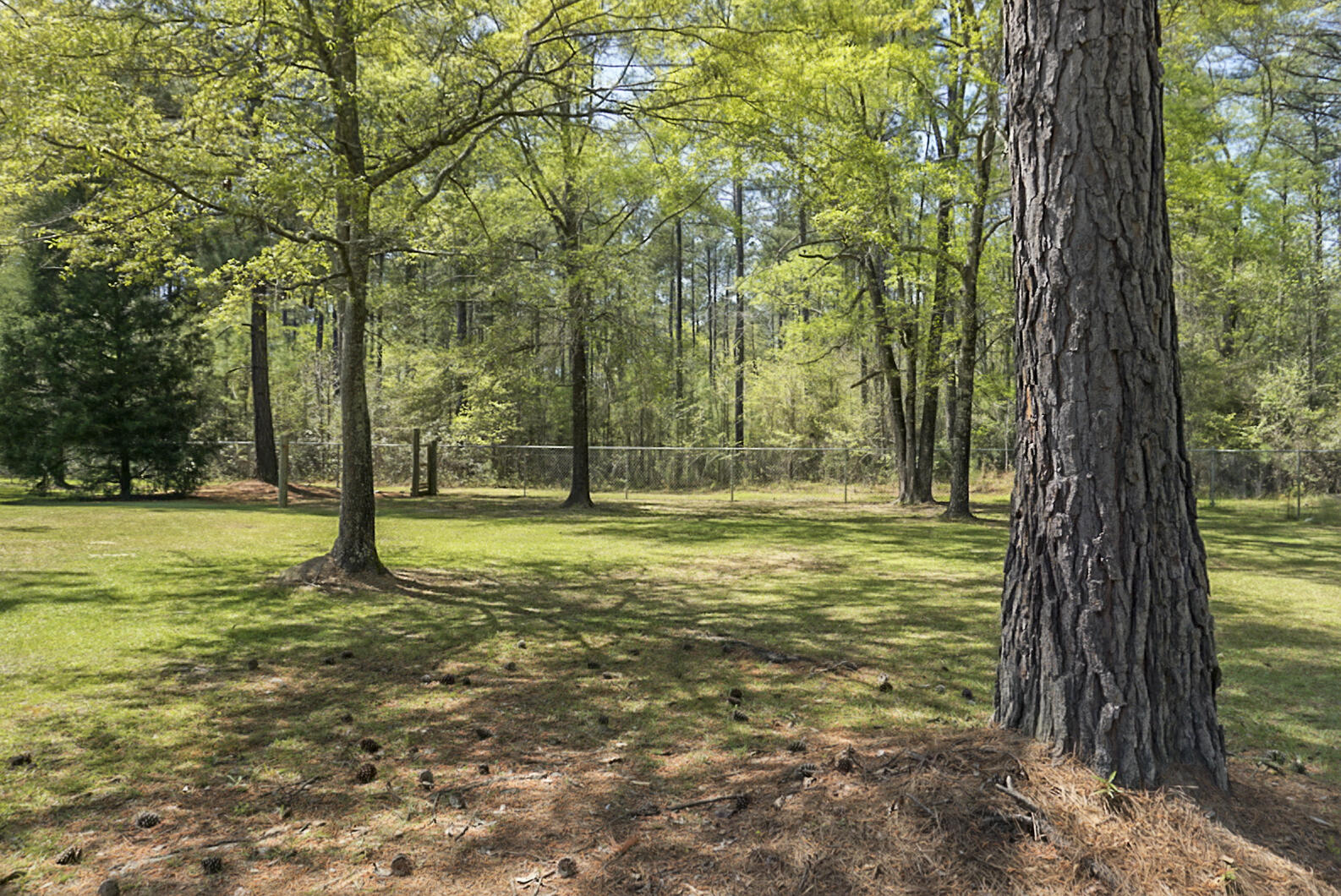 1801 Hoodtown Road St. Stephen, SC 29479 - Photo 14 of 41 DSC08651