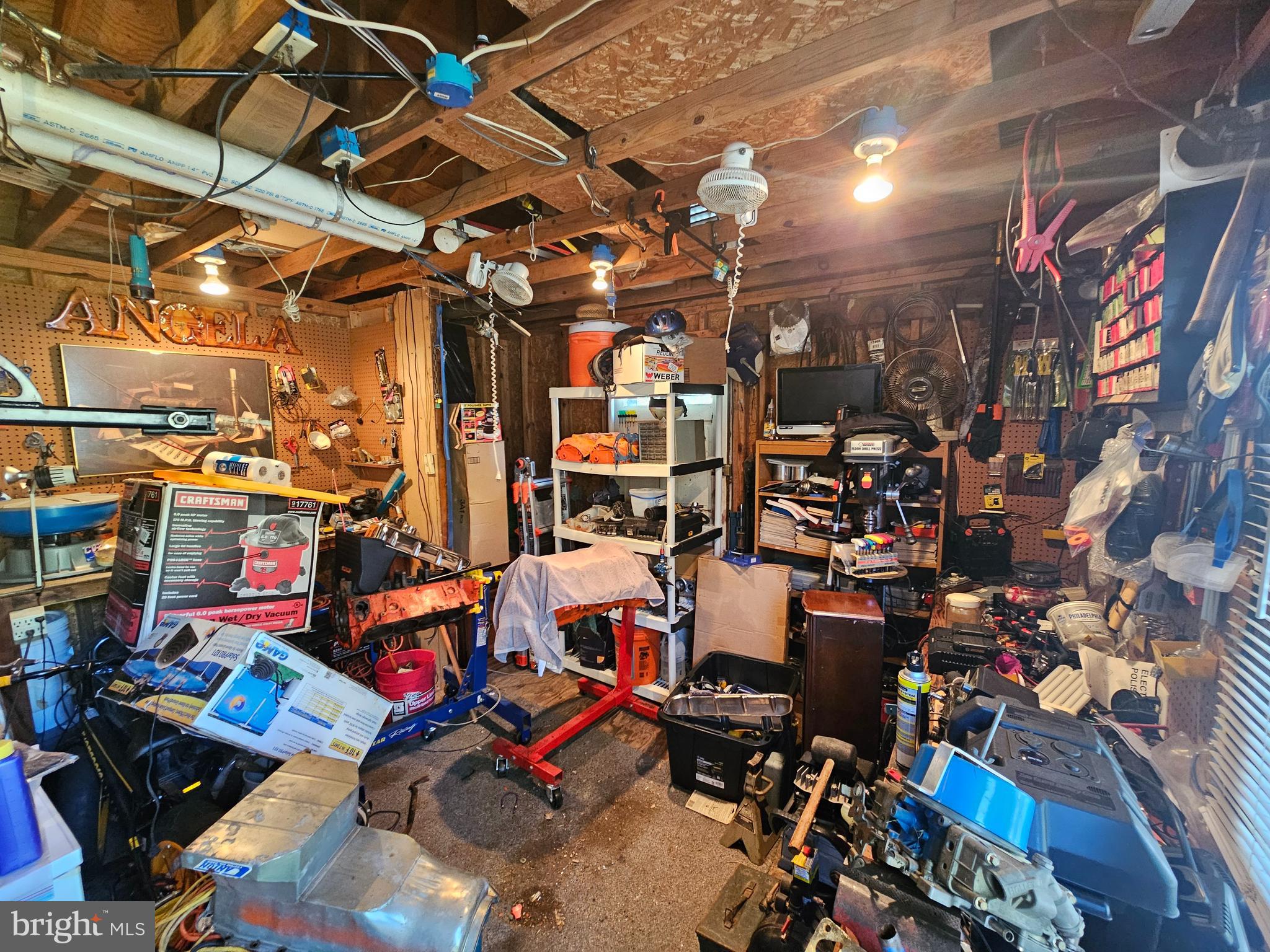 6405 Woodland Road Suitland, MD 20746 - Photo 18 of 23 Shed1