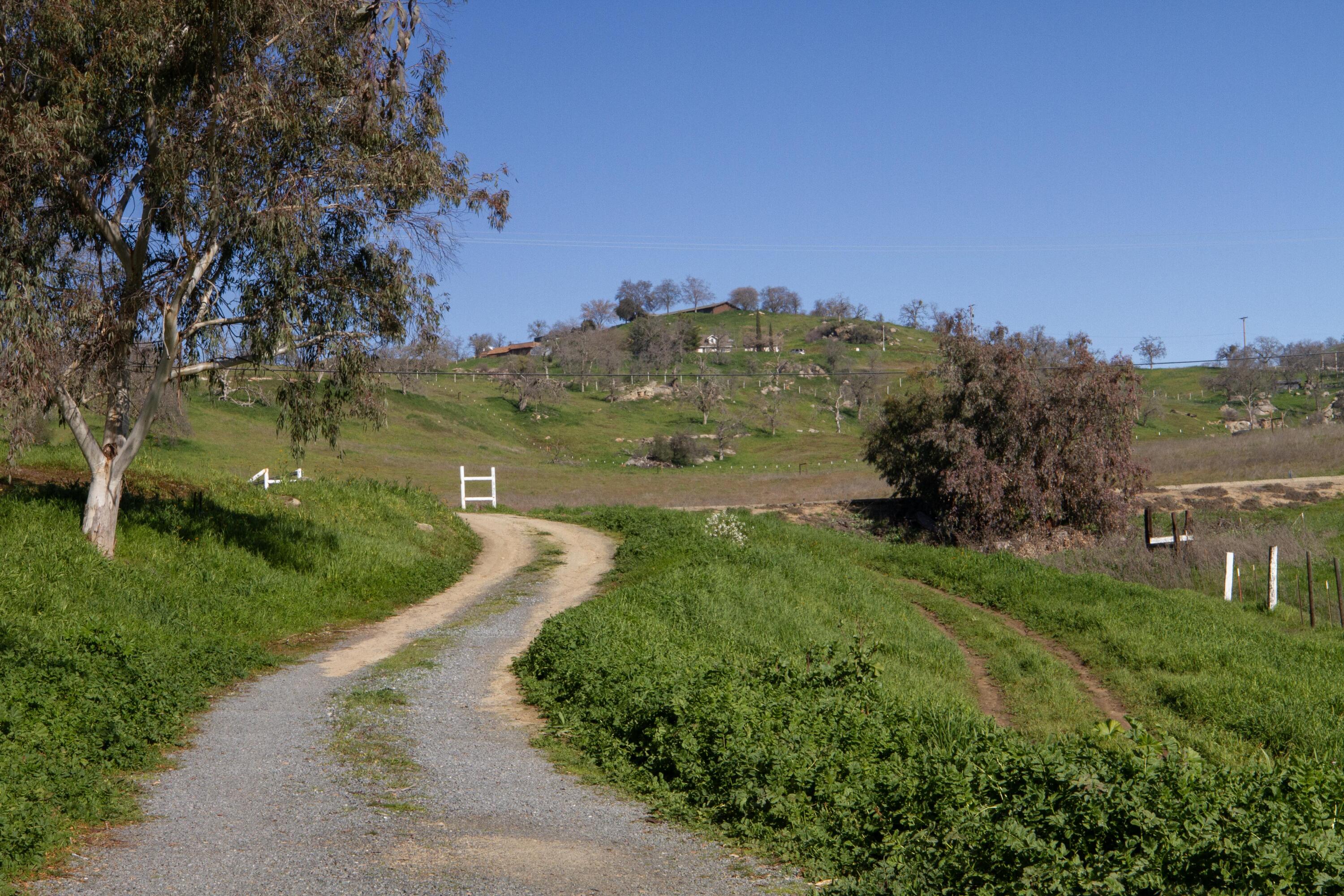 33379 George Smith Road Squaw Valley, CA 93675 - Photo 37 of 66 4