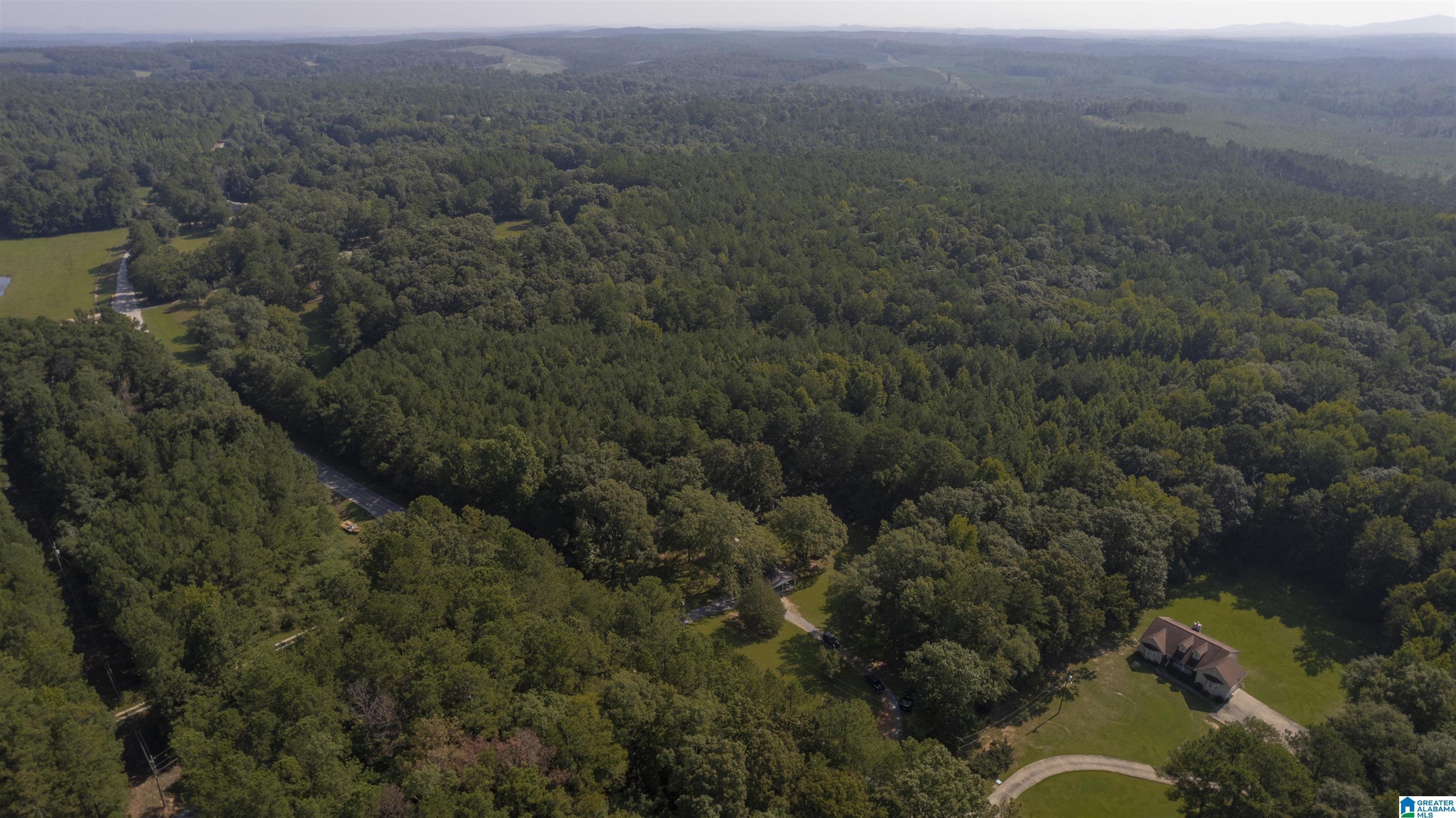 810 Stemley Road Talladega, AL 35160 - Photo 38 of 47