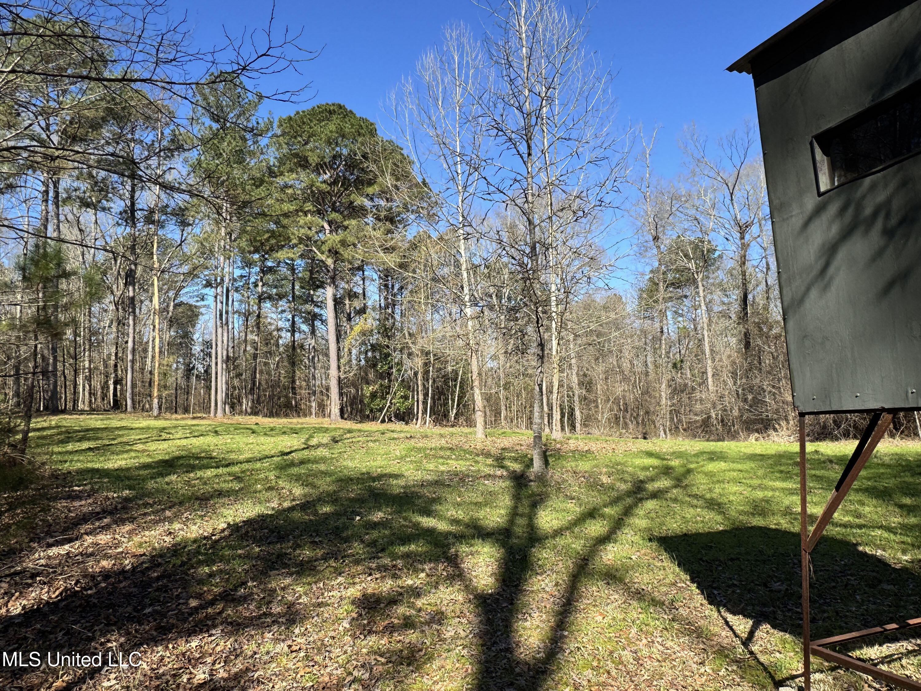 Hickory Ridge Road Hermanville, MS 39086 - Photo 11 of 43 Franklin Post Property-12