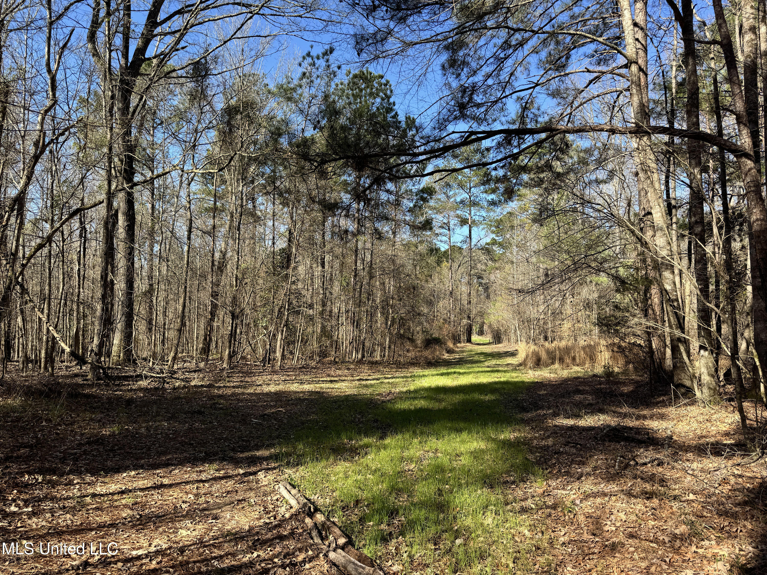 Hickory Ridge Road Hermanville, MS 39086 - Photo 12 of 43 Franklin Post Property-13