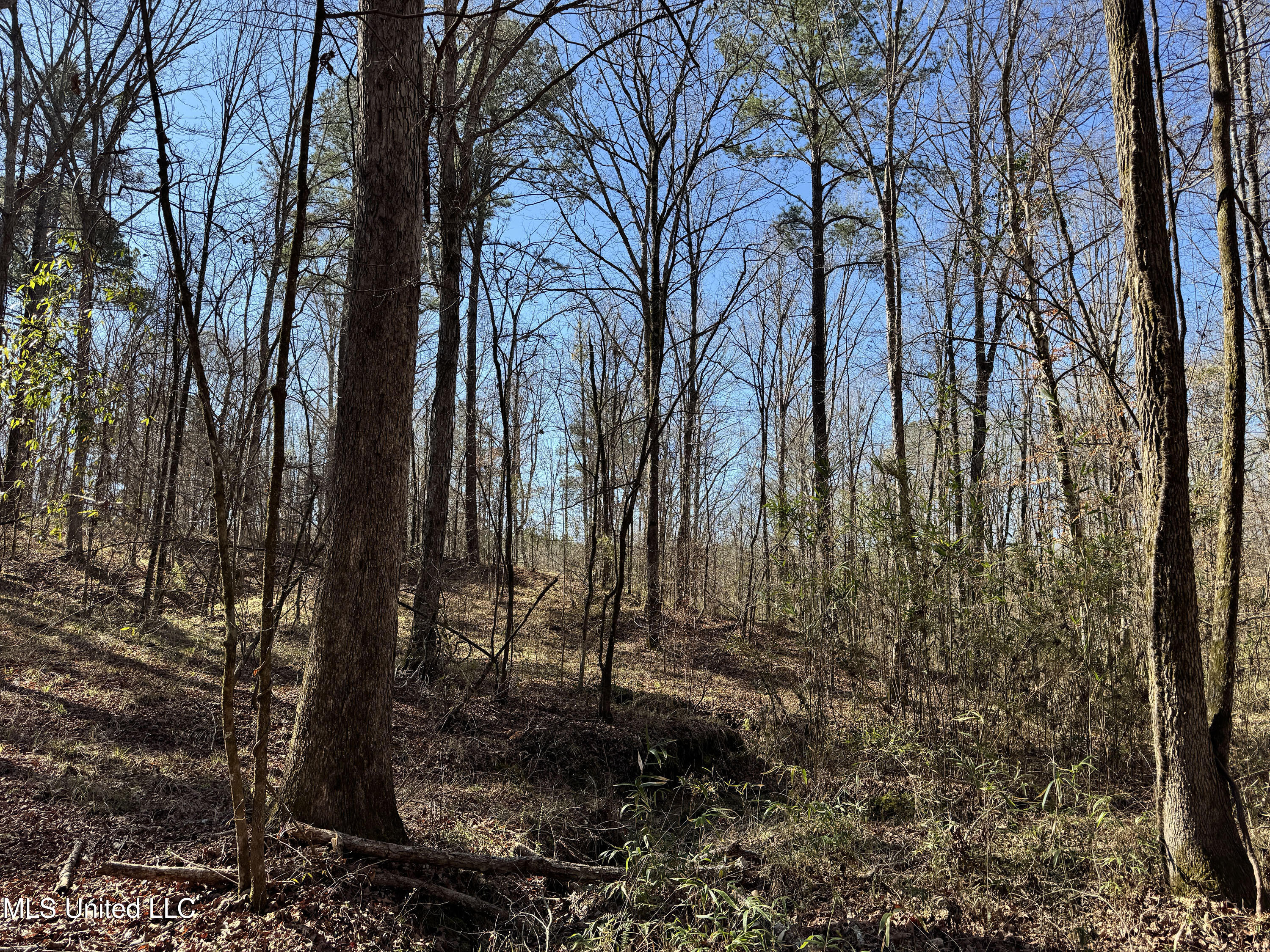 Hickory Ridge Road Hermanville, MS 39086 - Photo 14 of 43 Franklin Post Property-19