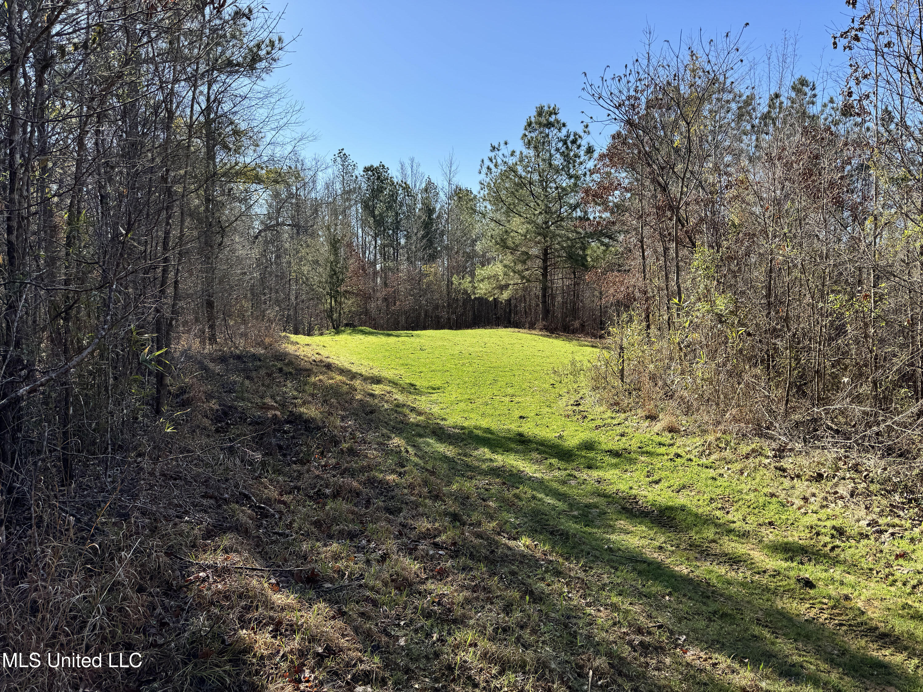 Hickory Ridge Road Hermanville, MS 39086 - Photo 18 of 43 Franklin Post Property-24
