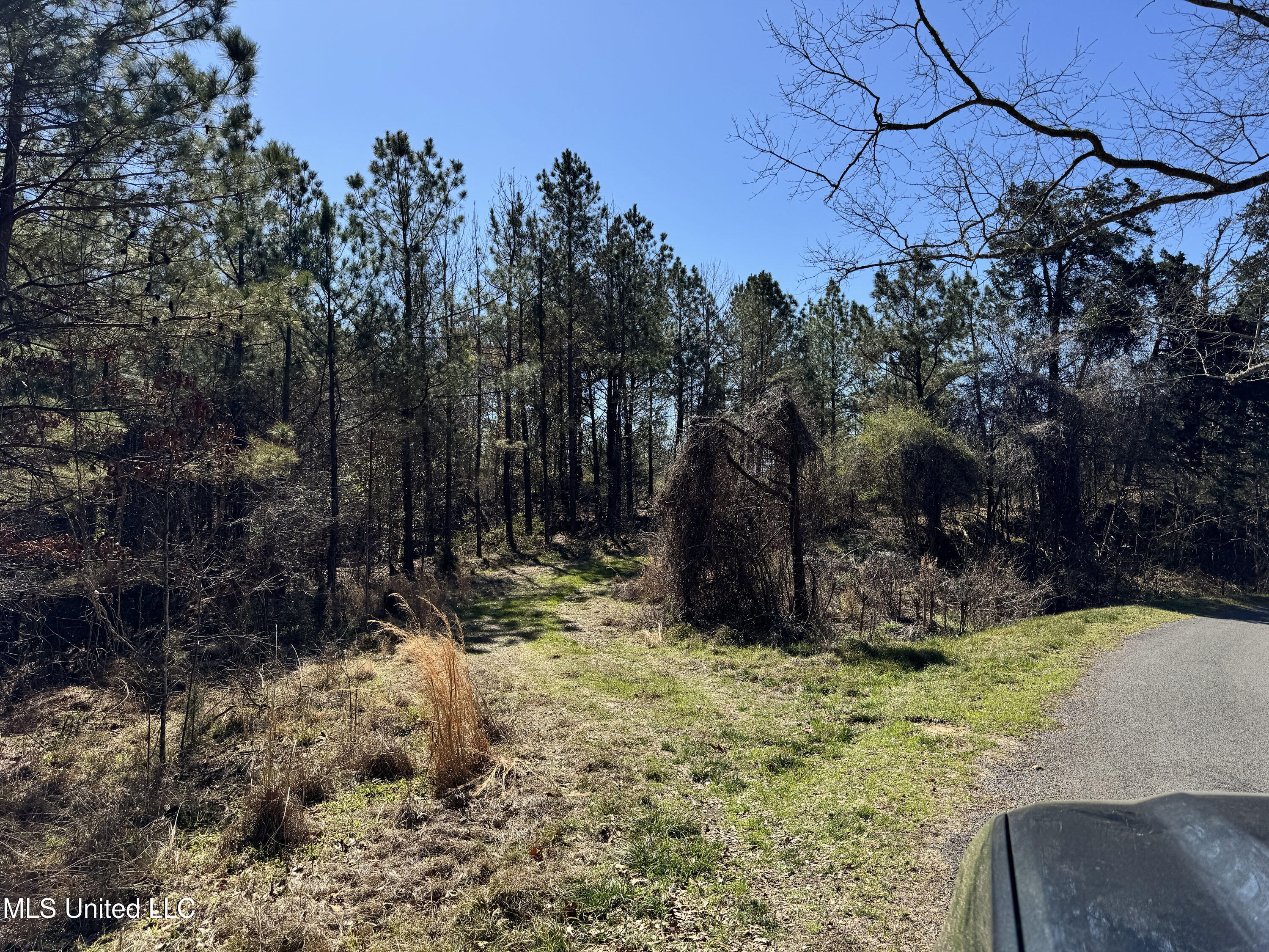 Hickory Ridge Road Hermanville, MS 39086 - Photo 2 of 43 Franklin Post Property-1
