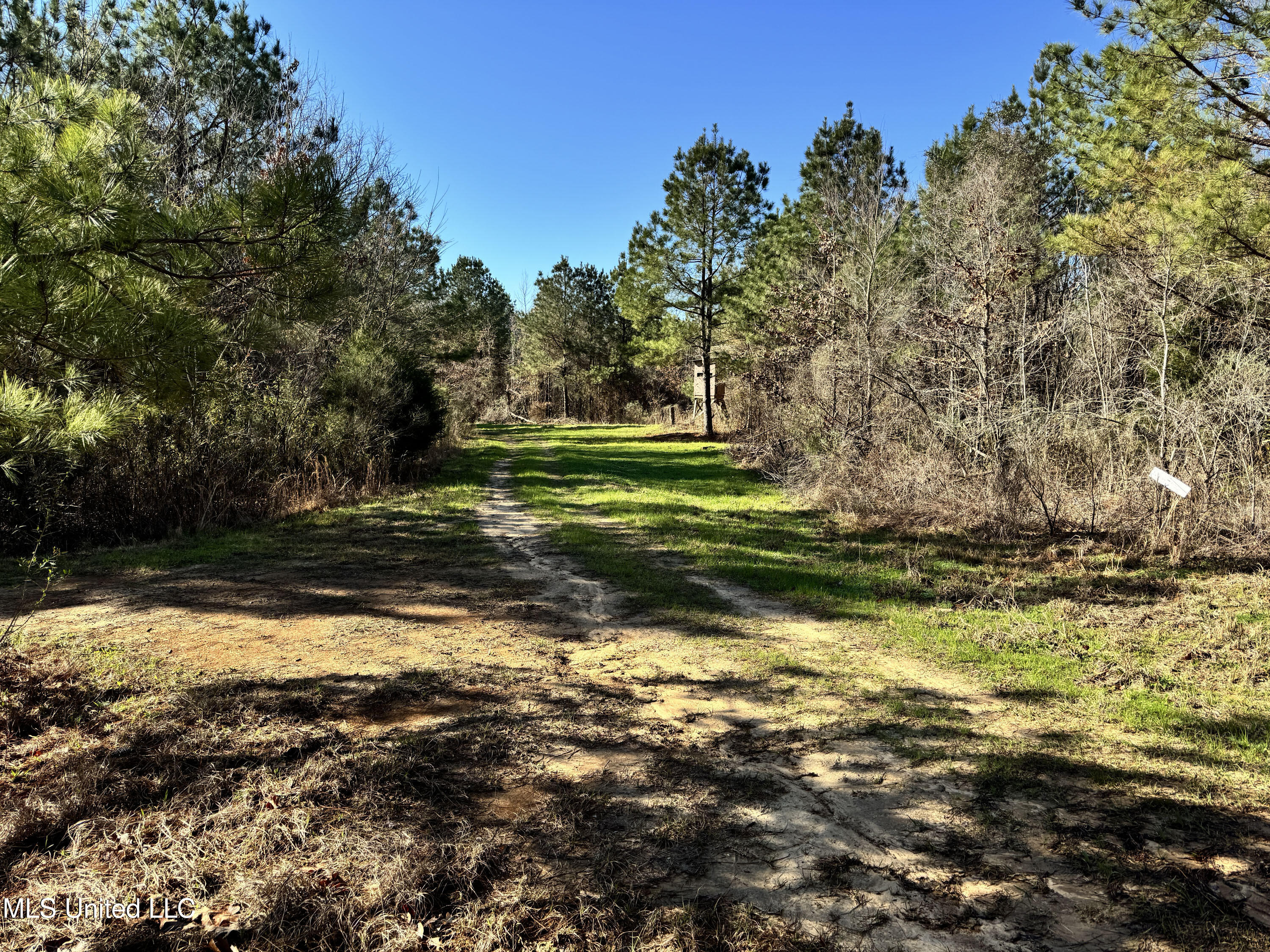 Hickory Ridge Road Hermanville, MS 39086 - Photo 23 of 43 Franklin Post Property-33