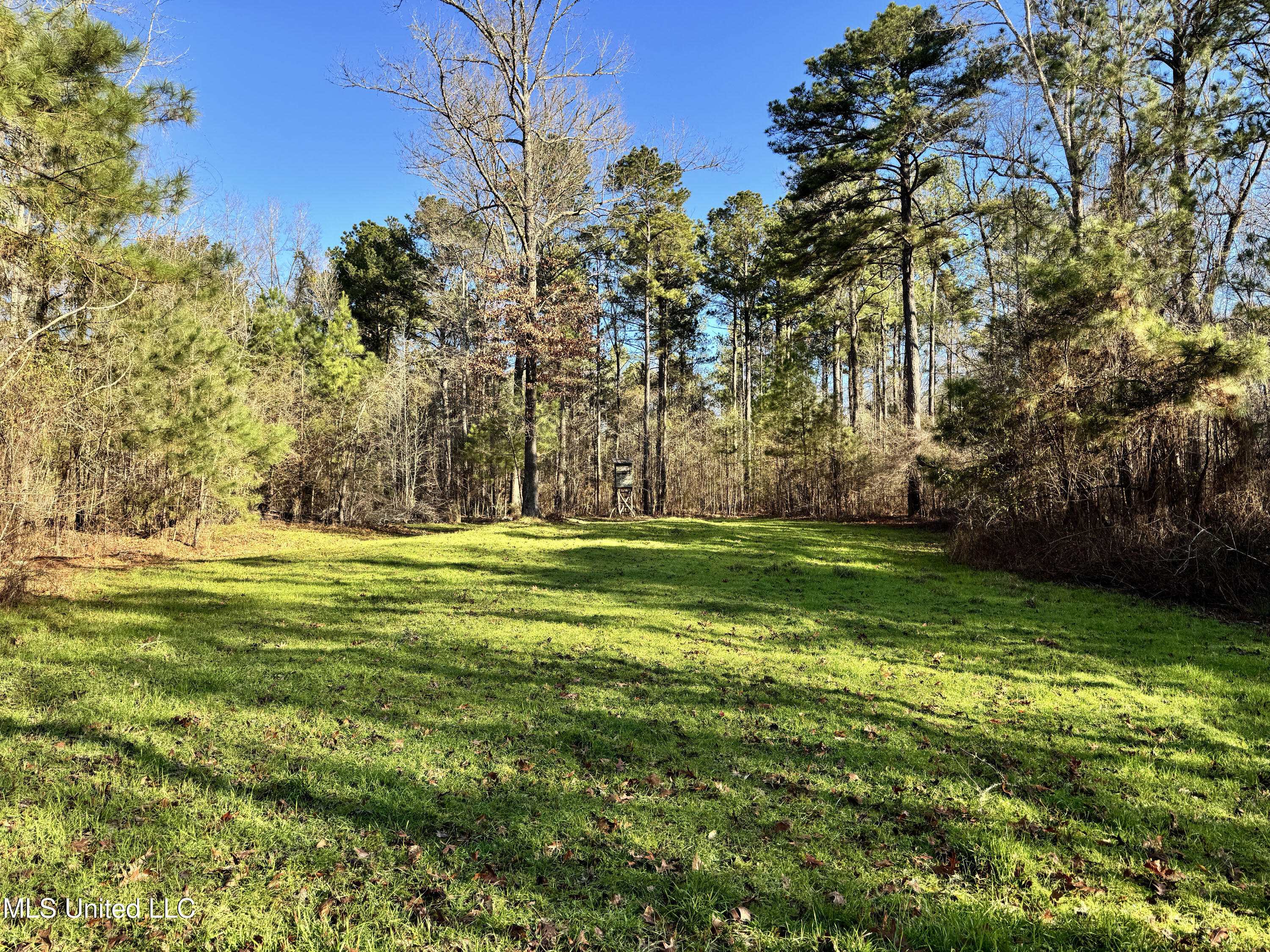 Hickory Ridge Road Hermanville, MS 39086 - Photo 29 of 43 Franklin Post Property-48