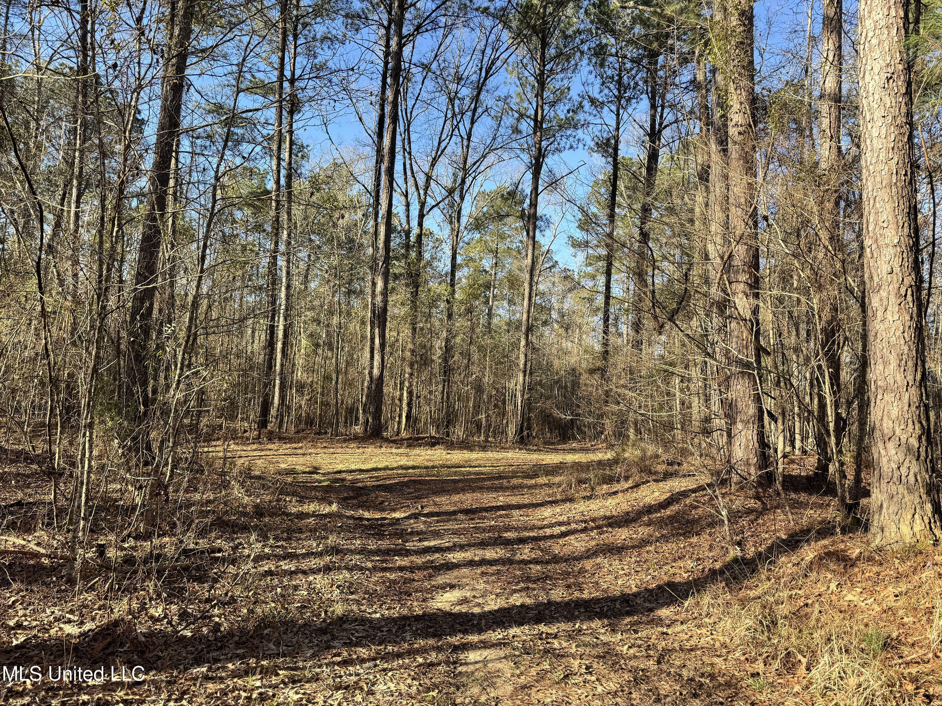 Hickory Ridge Road Hermanville, MS 39086 - Photo 30 of 43 Franklin Post Property-49