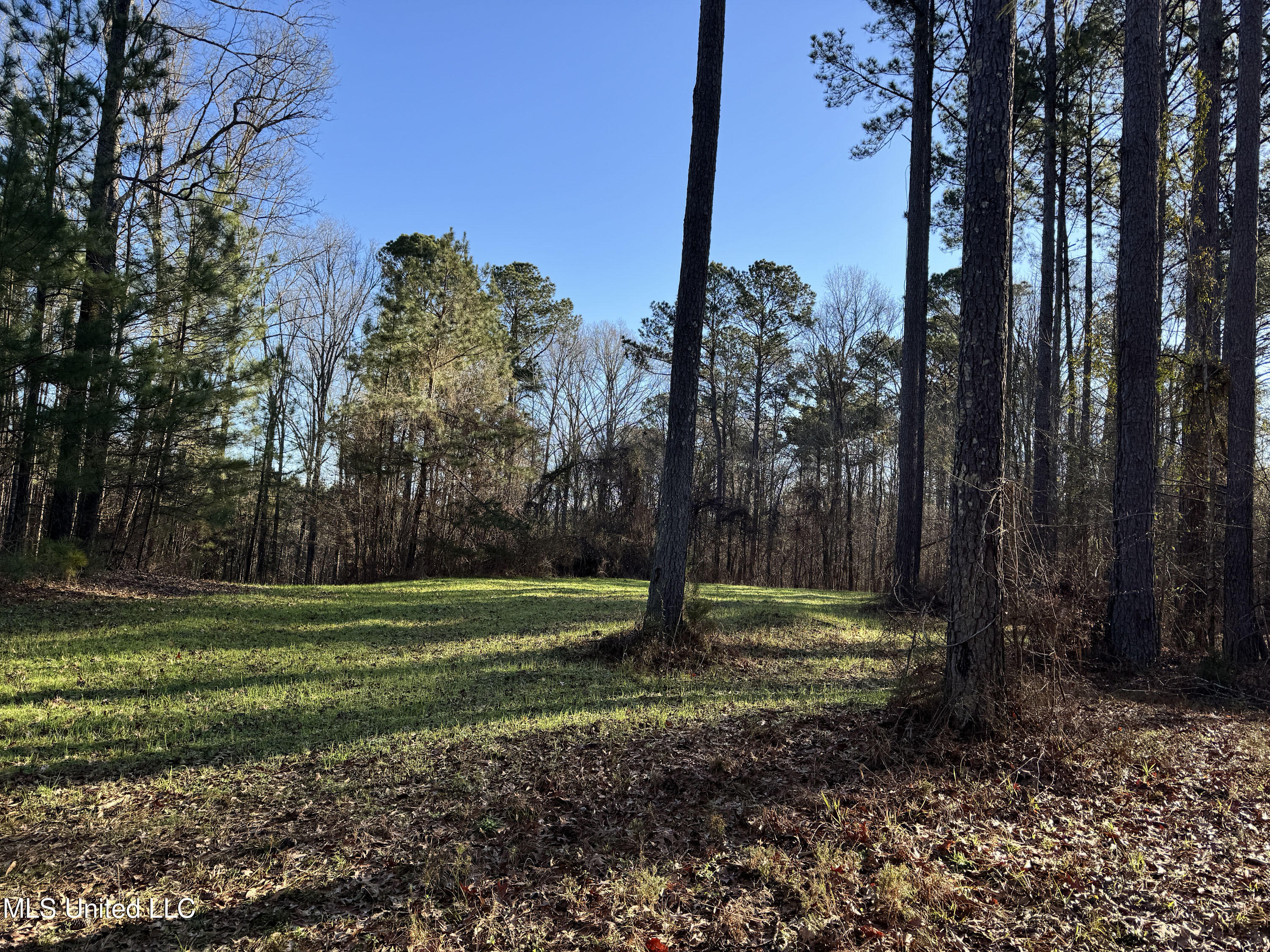Hickory Ridge Road Hermanville, MS 39086 - Photo 36 of 43 Franklin Post Property-60