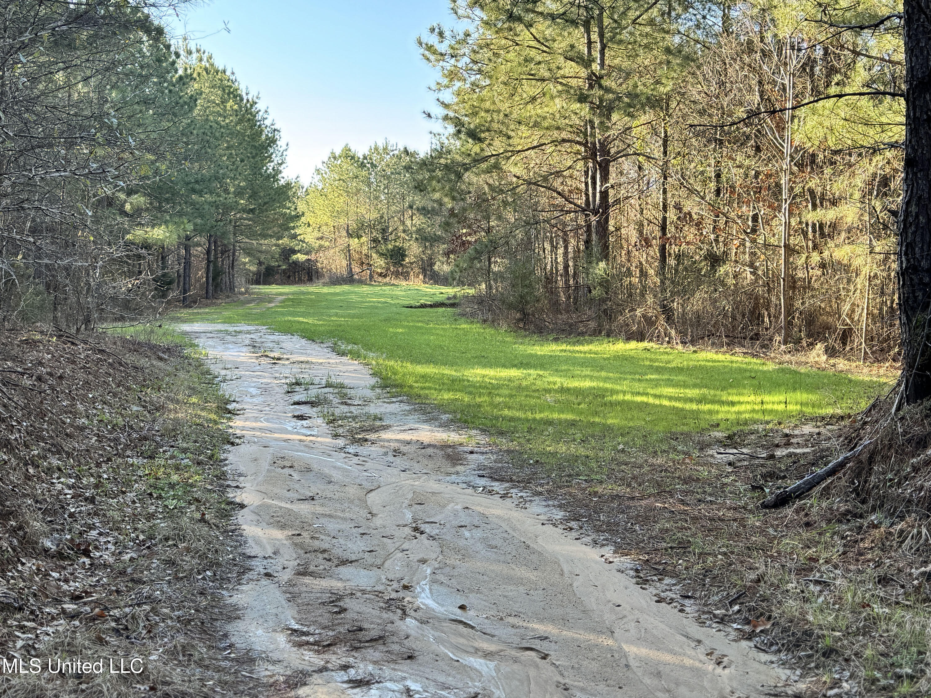 Hickory Ridge Road Hermanville, MS 39086 - Photo 38 of 43 Franklin Post Property-64