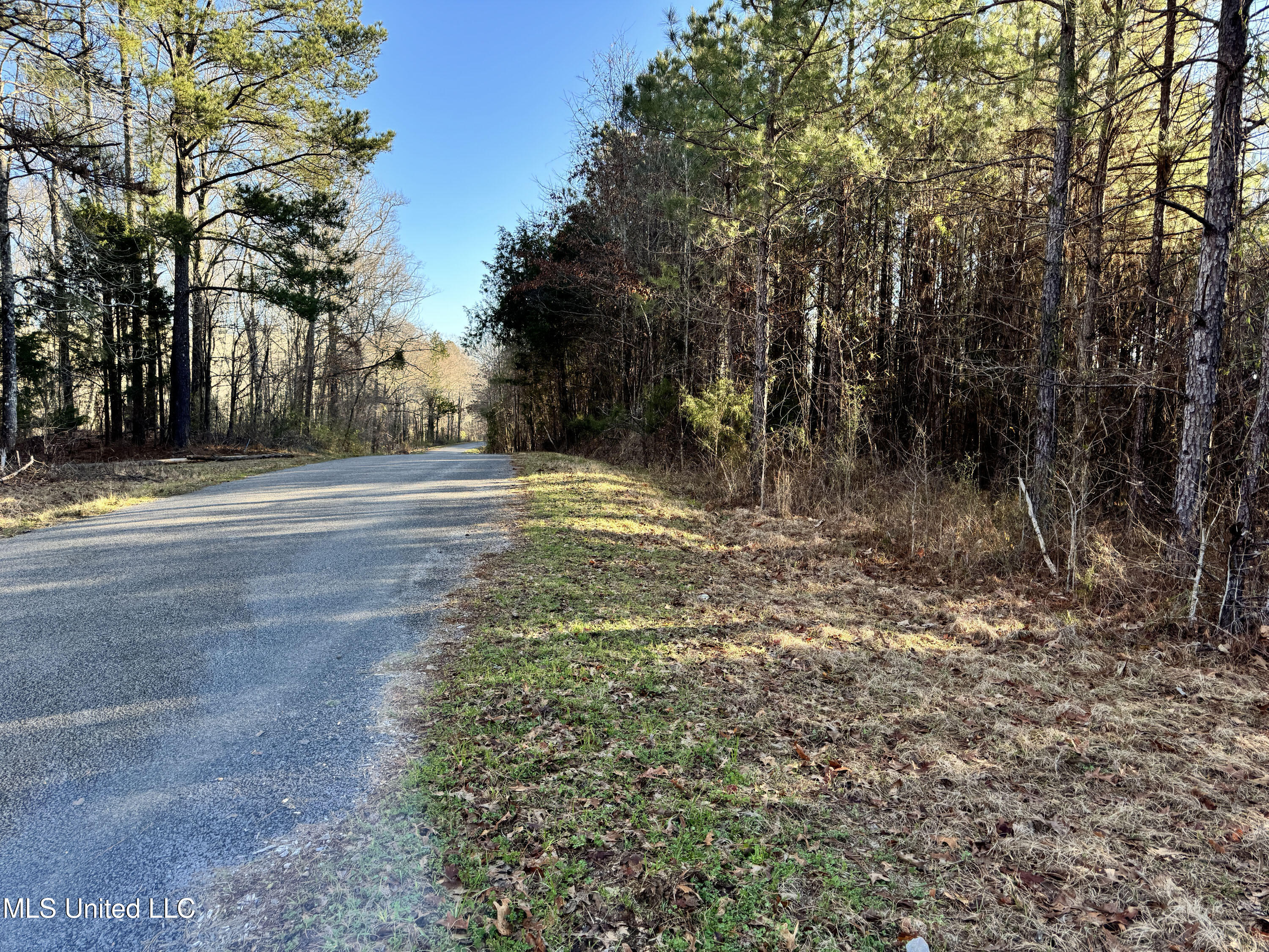 Hickory Ridge Road Hermanville, MS 39086 - Photo 40 of 43 Franklin Post Property-70