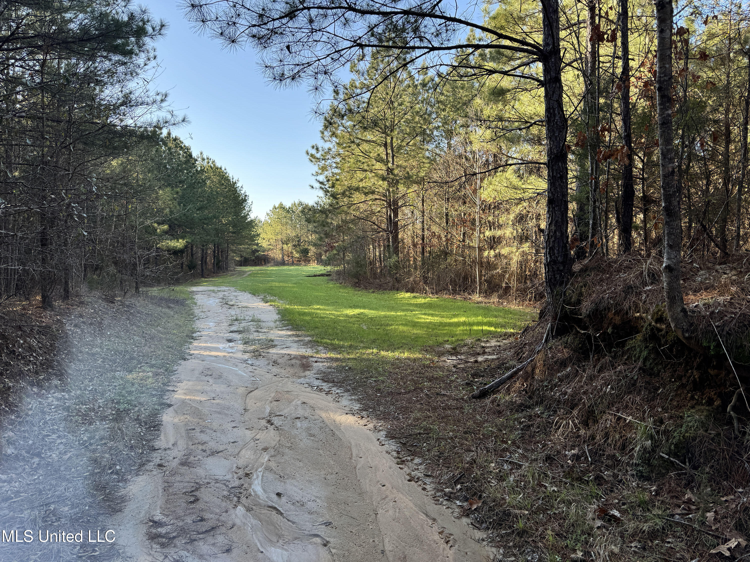 Hickory Ridge Road Hermanville, MS 39086 - Photo 41 of 43 Franklin Post Property-66
