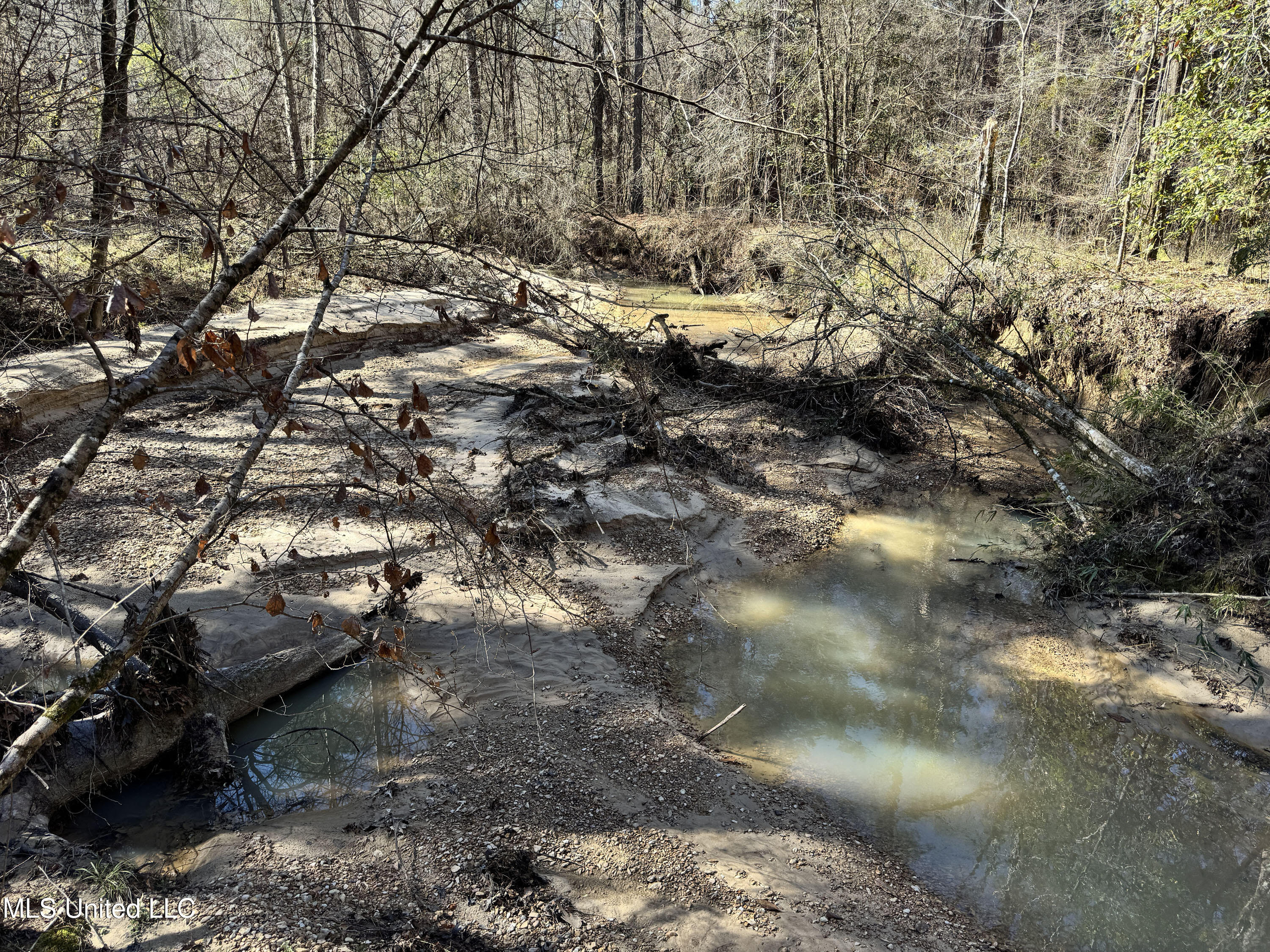 Hickory Ridge Road Hermanville, MS 39086 - Photo 8 of 43 Franklin Post Property-8