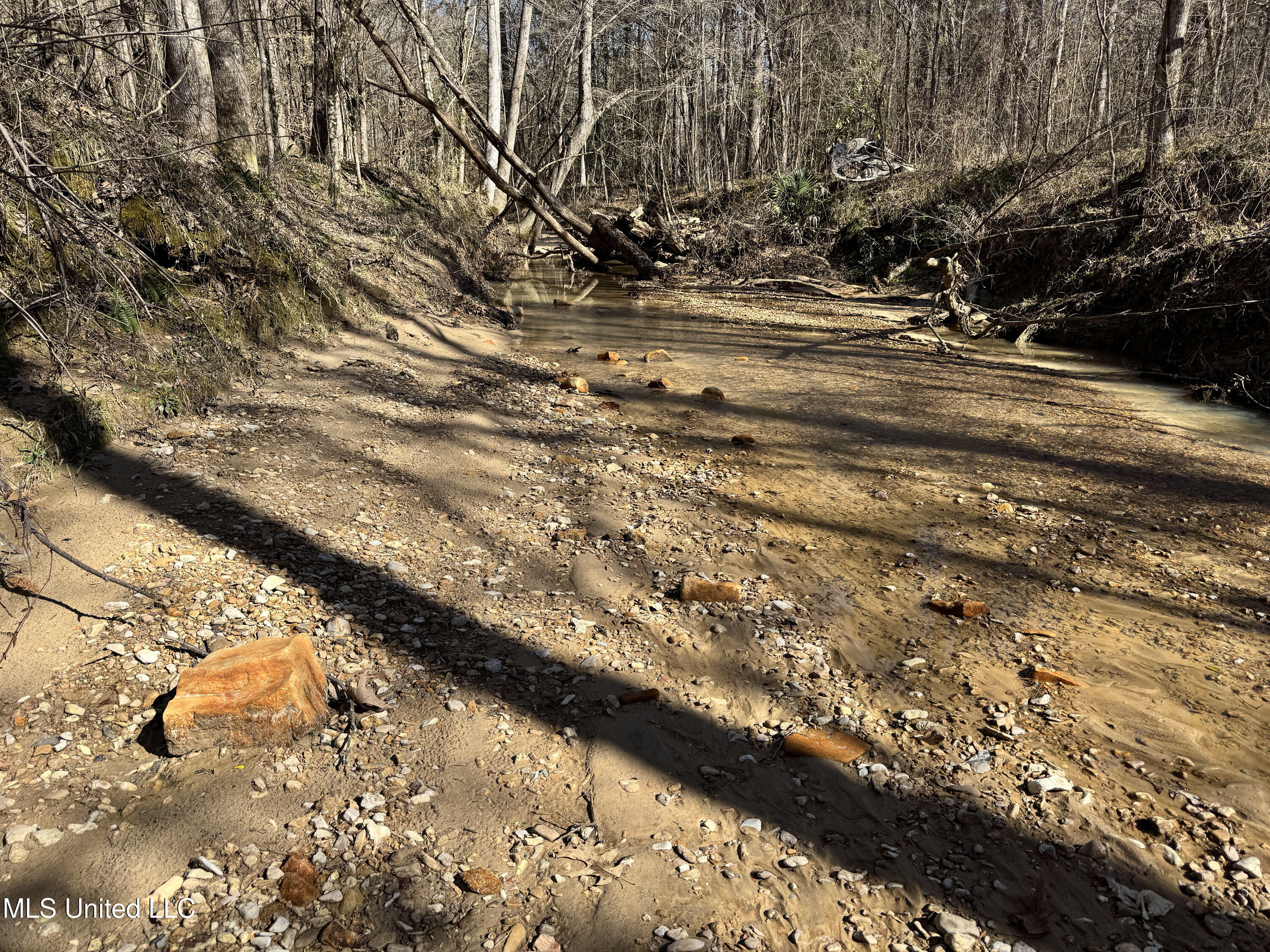 Hickory Ridge Road Hermanville, MS 39086 - Photo 10 of 43 Franklin Post Property-10