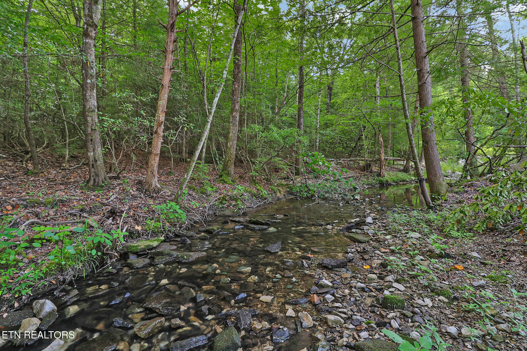 373 Georgee Road Jamestown, TN 38556 - Photo 43 of 43 n44a6371-n44a6375