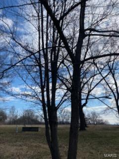 9392 Rezy Road Staunton, IL 62088 - Photo 22 of 27