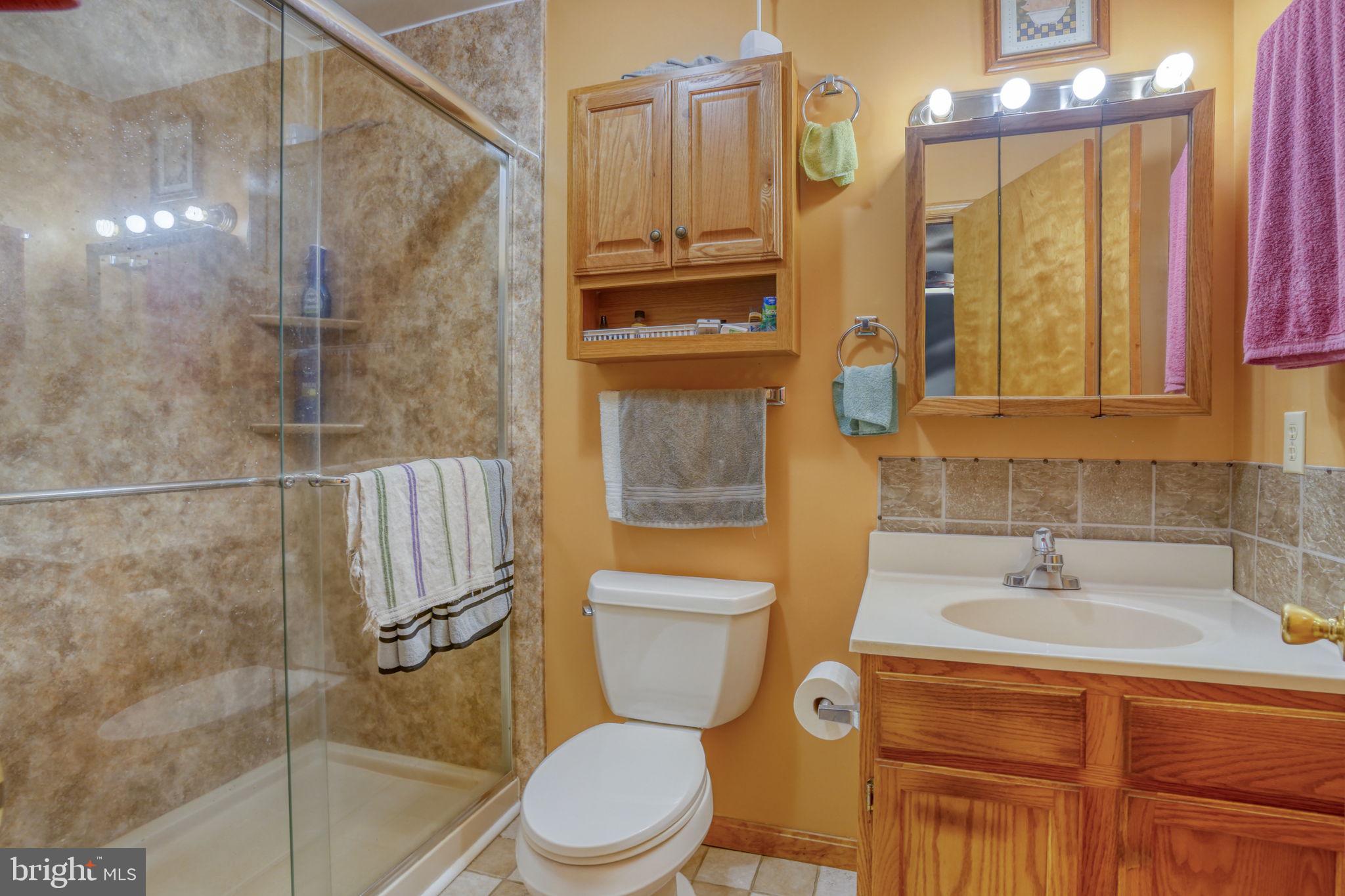 1916 Hartly Road Hartly, DE 19953 - Photo 27 of 44 a bathroom with a sink a toilet and shower