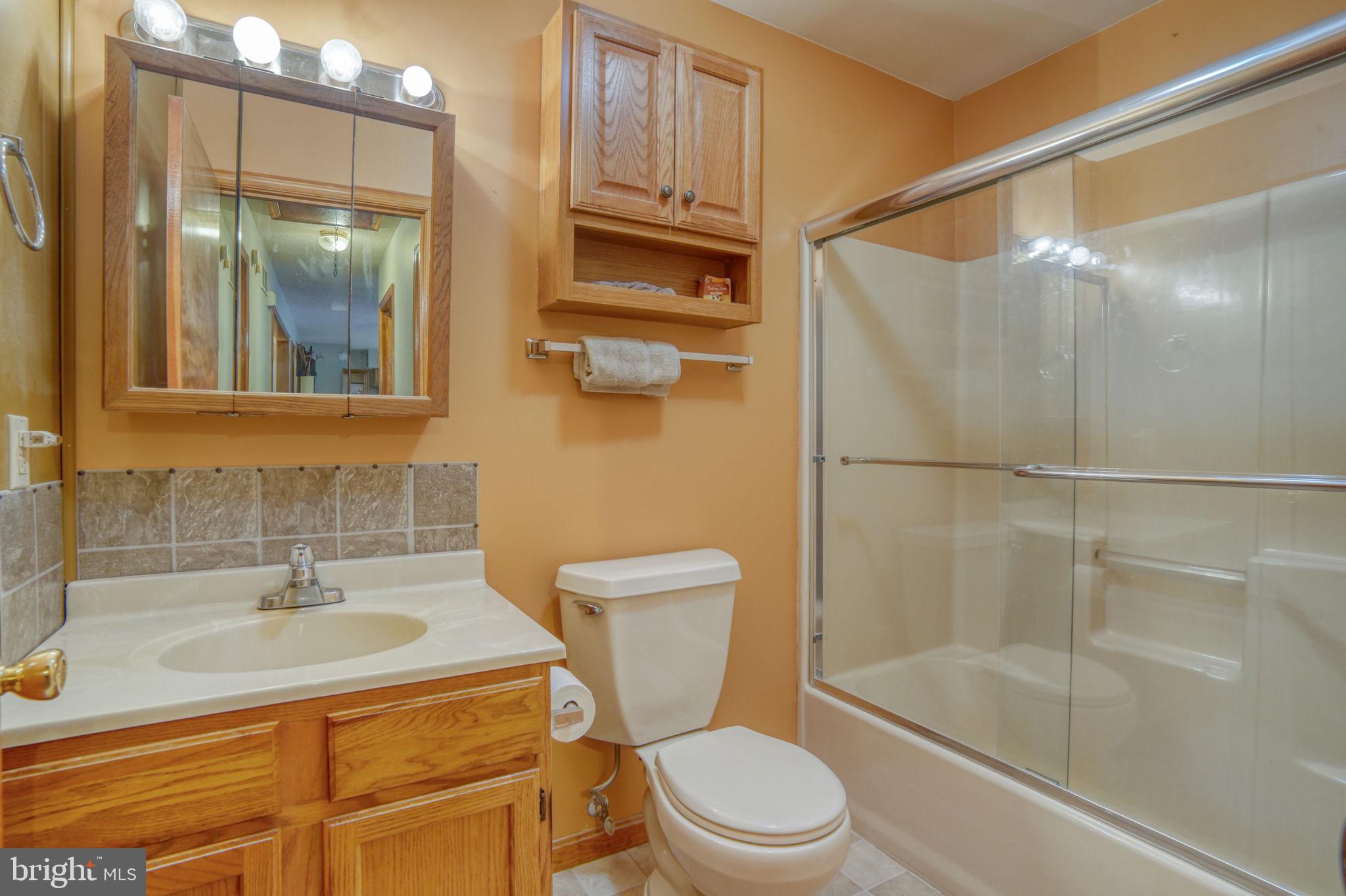 1916 Hartly Road Hartly, DE 19953 - Photo 28 of 44 a bathroom with a sink toilet and shower