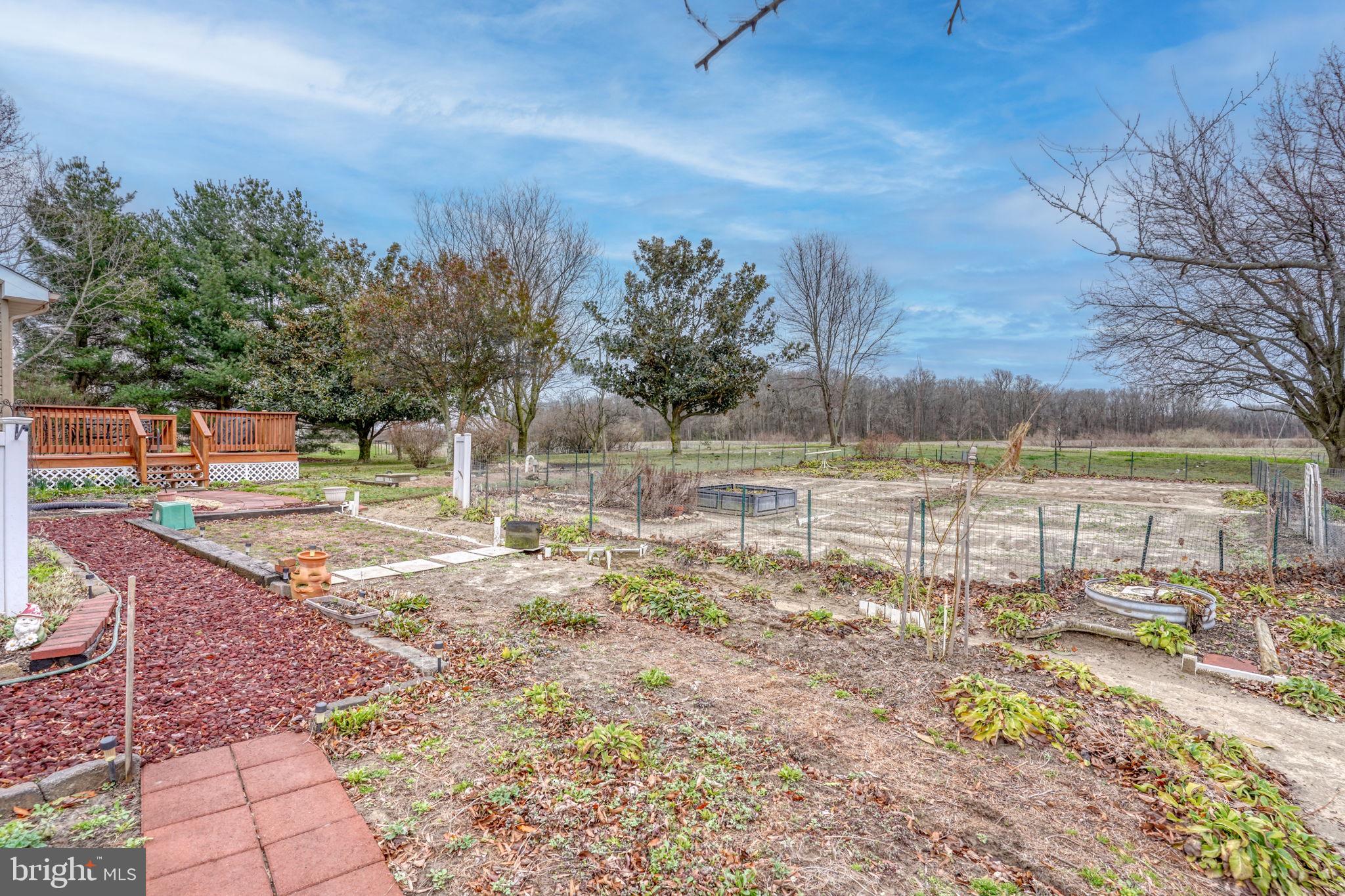 1916 Hartly Road Hartly, DE 19953 - Photo 43 of 44 a view of a yard with trees