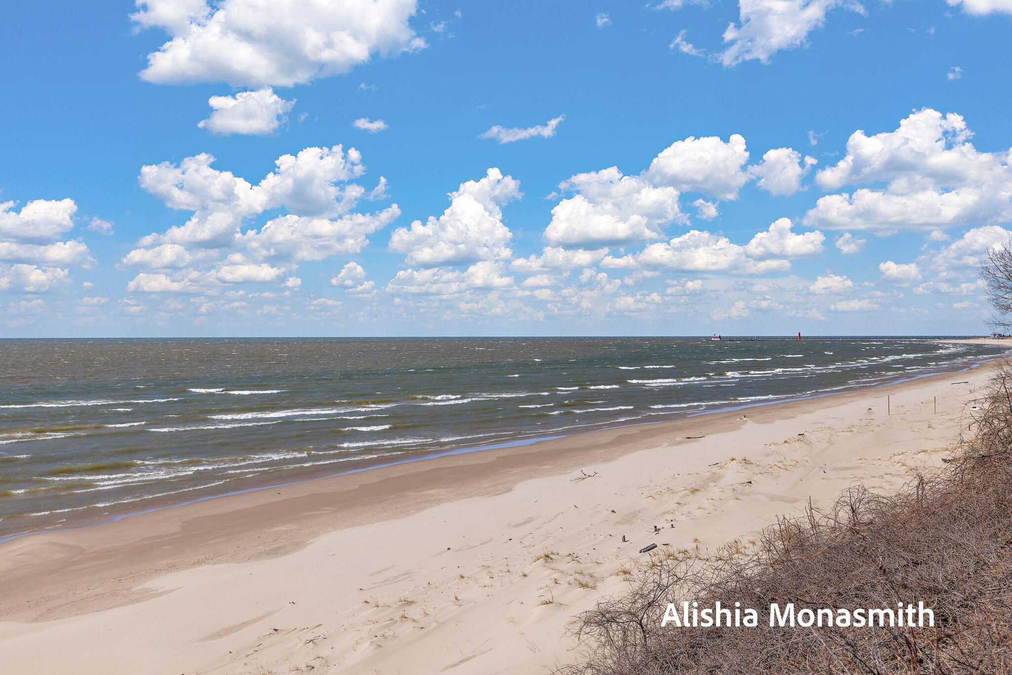 15058 Stickney Ridge Road Grand Haven, MI 49417 - Photo 3 of 61 53-web-or-mls-2R9A3274