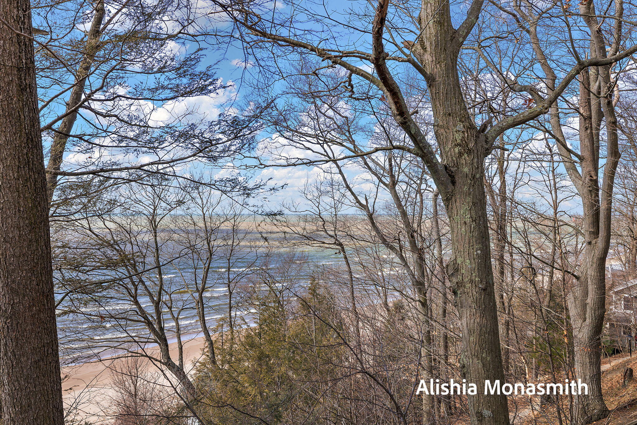 15058 Stickney Ridge Road Grand Haven, MI 49417 - Photo 48 of 61 48-web-or-mls-2R9A3229