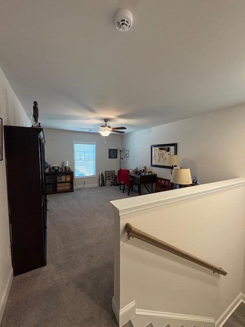 10 Rallidae Court Sumter, SC 29150 - Photo 31 of 32