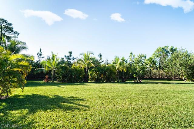 2134 Antigua Lane Naples, FL 34120 - Photo 18 of 26 a view of a garden with a tree in a yard