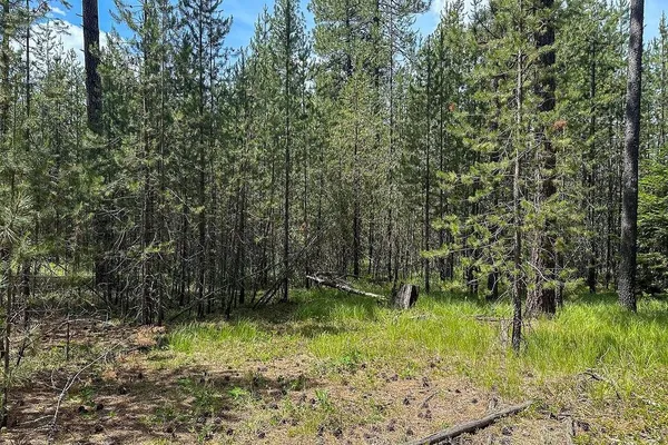 $85,000 | 3792 East Jump Off Road, Valley, WA 99181
