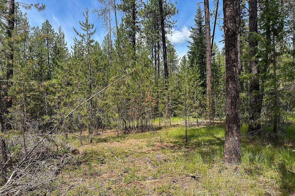 3792 East Jump Off Road Valley, WA 99181 - Photo 3 of 14