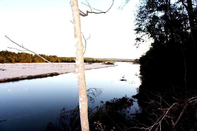 3569 Bunkley Road Meadville, MS 39653 - Photo 1 of 1 Main View