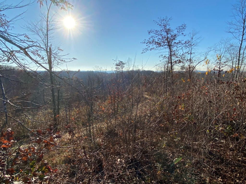 7950 Public Road Somerset, KY 42503 - Photo 6 of 29 05