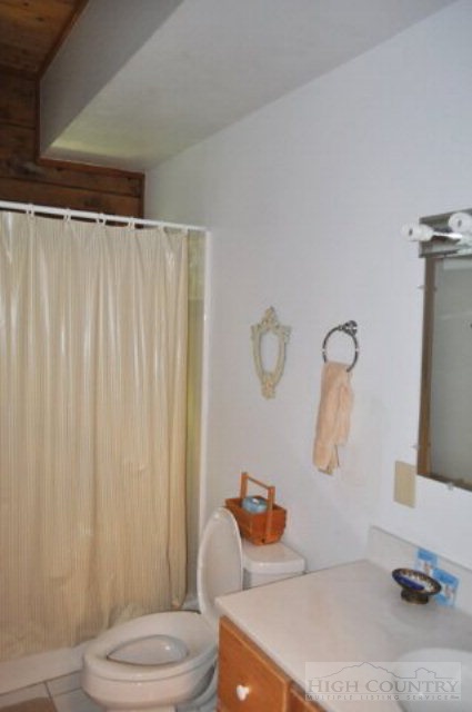 346-348 Grady Winkler Road Boone, NC 28607 - Photo 3 of 32 a bathroom with a sink toilet and shower