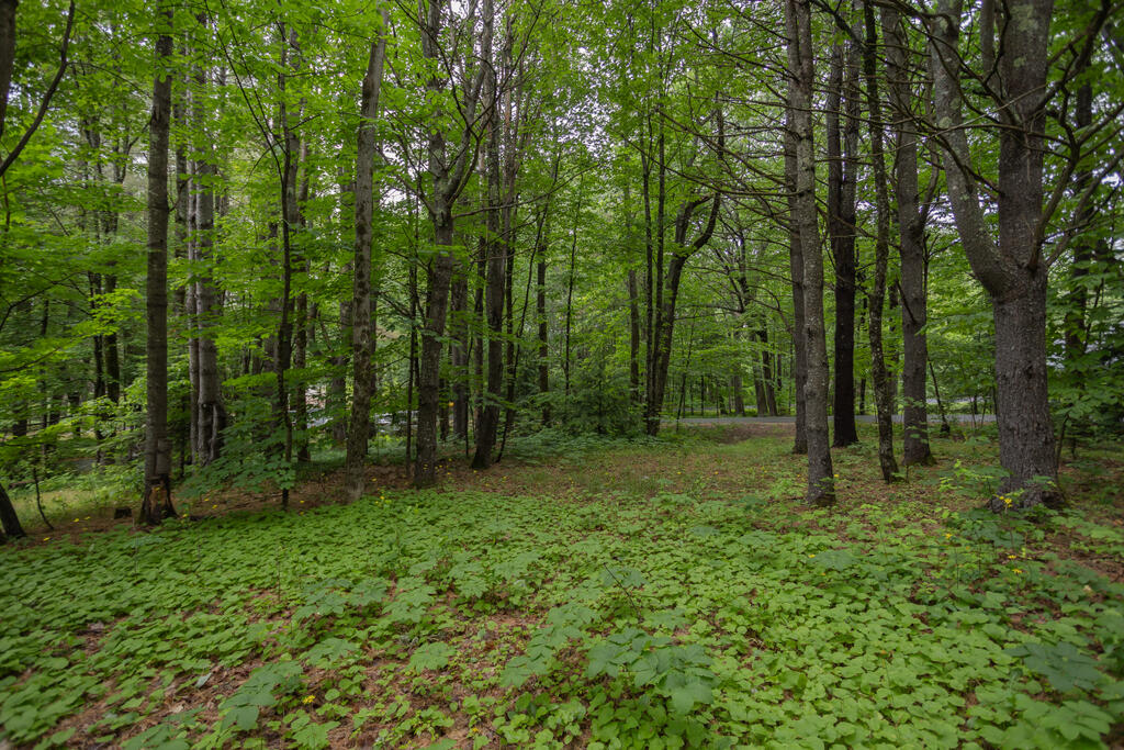 3 Fenderson Hill Road North Wilton, ME 04294 - Photo 47 of 68 taylor-kaminsky-photo-11