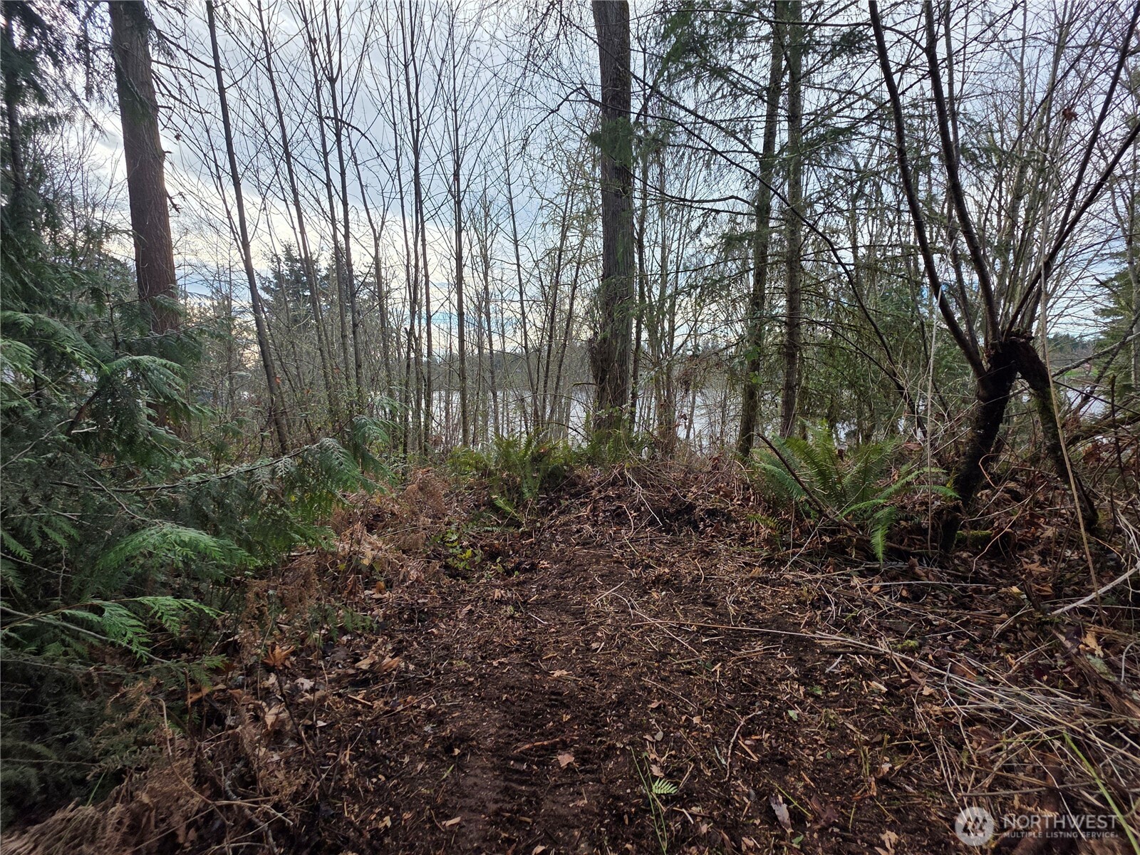 33722 Thomas Road East Eatonville, WA 98328 - Photo 11 of 24