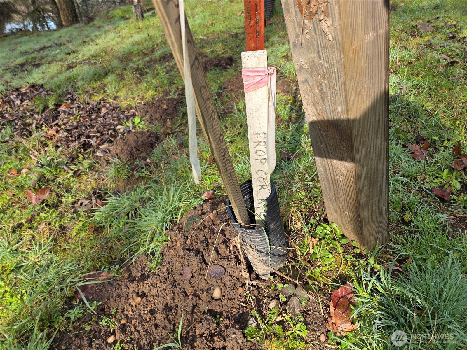 33722 Thomas Road East Eatonville, WA 98328 - Photo 17 of 24