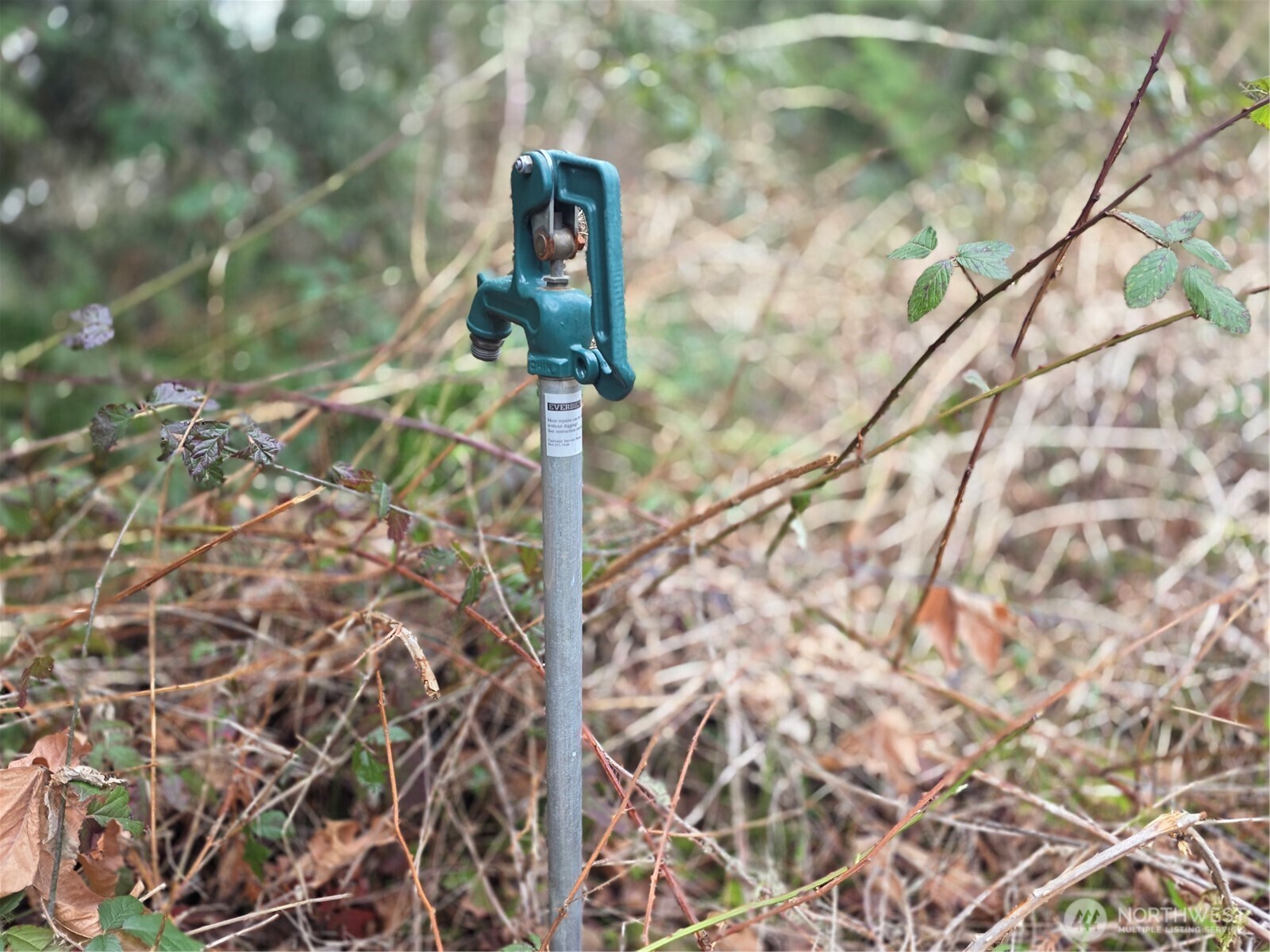 33722 Thomas Road East Eatonville, WA 98328 - Photo 20 of 24
