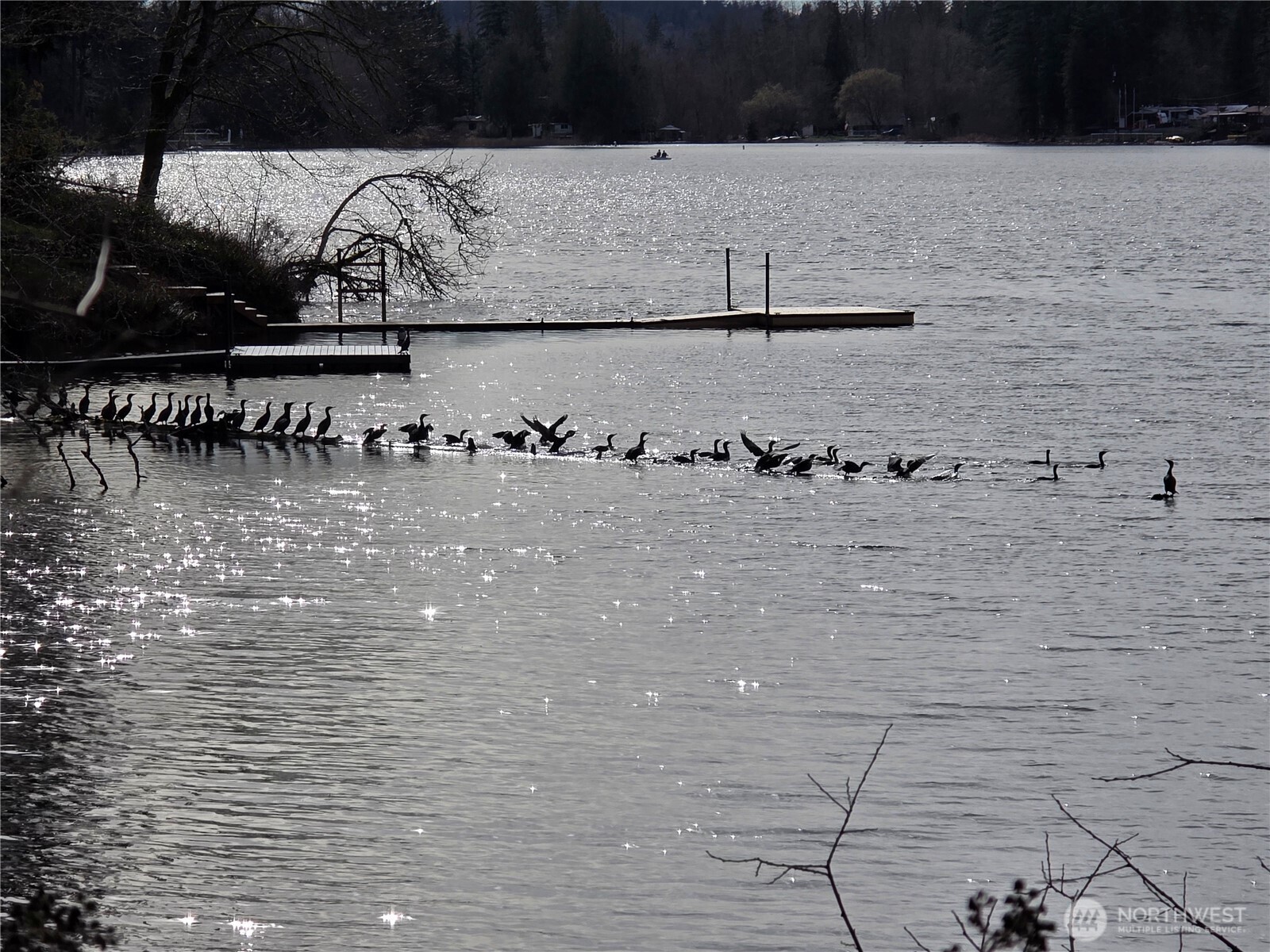 33722 Thomas Road East Eatonville, WA 98328 - Photo 21 of 24