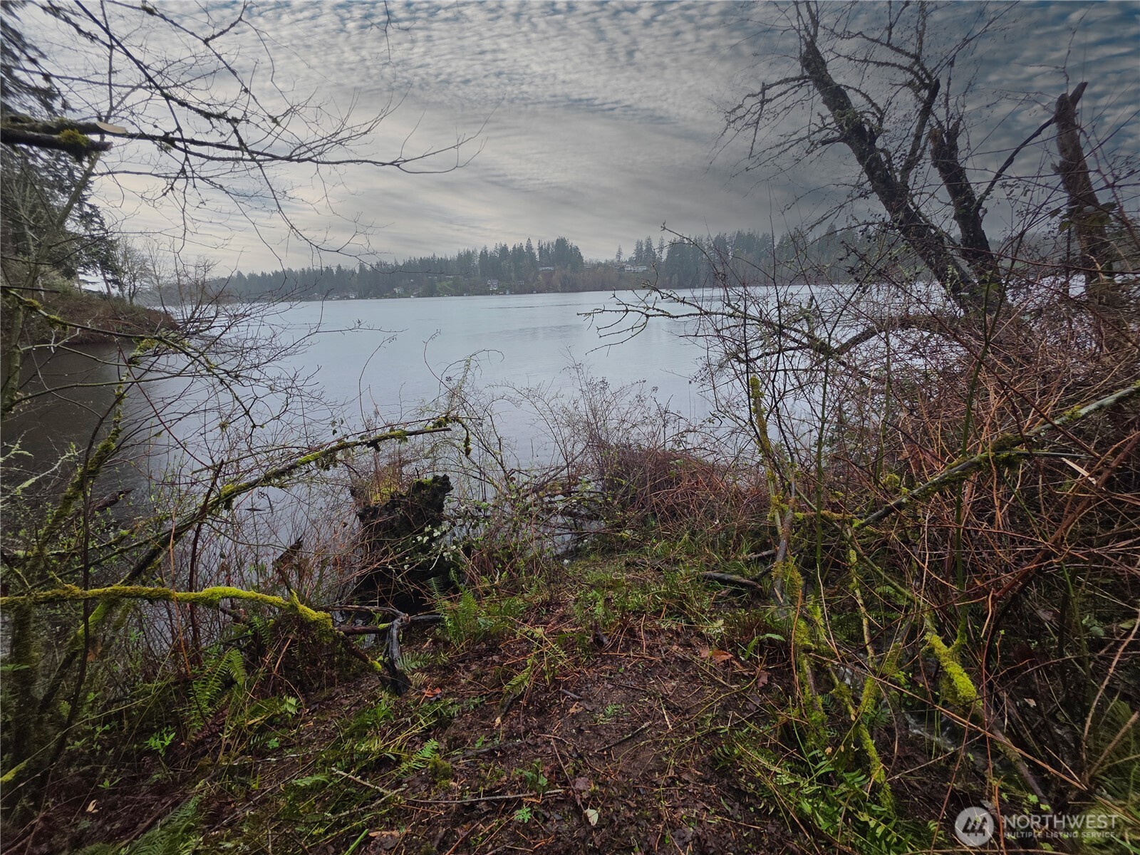 33722 Thomas Road East Eatonville, WA 98328 - Photo 7 of 24