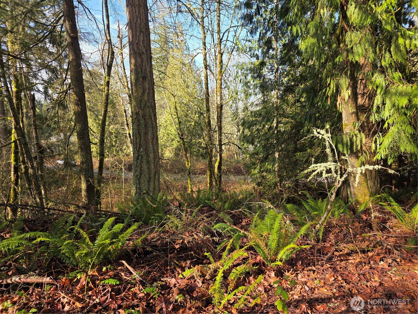 33722 Thomas Road East Eatonville, WA 98328 - Photo 9 of 24