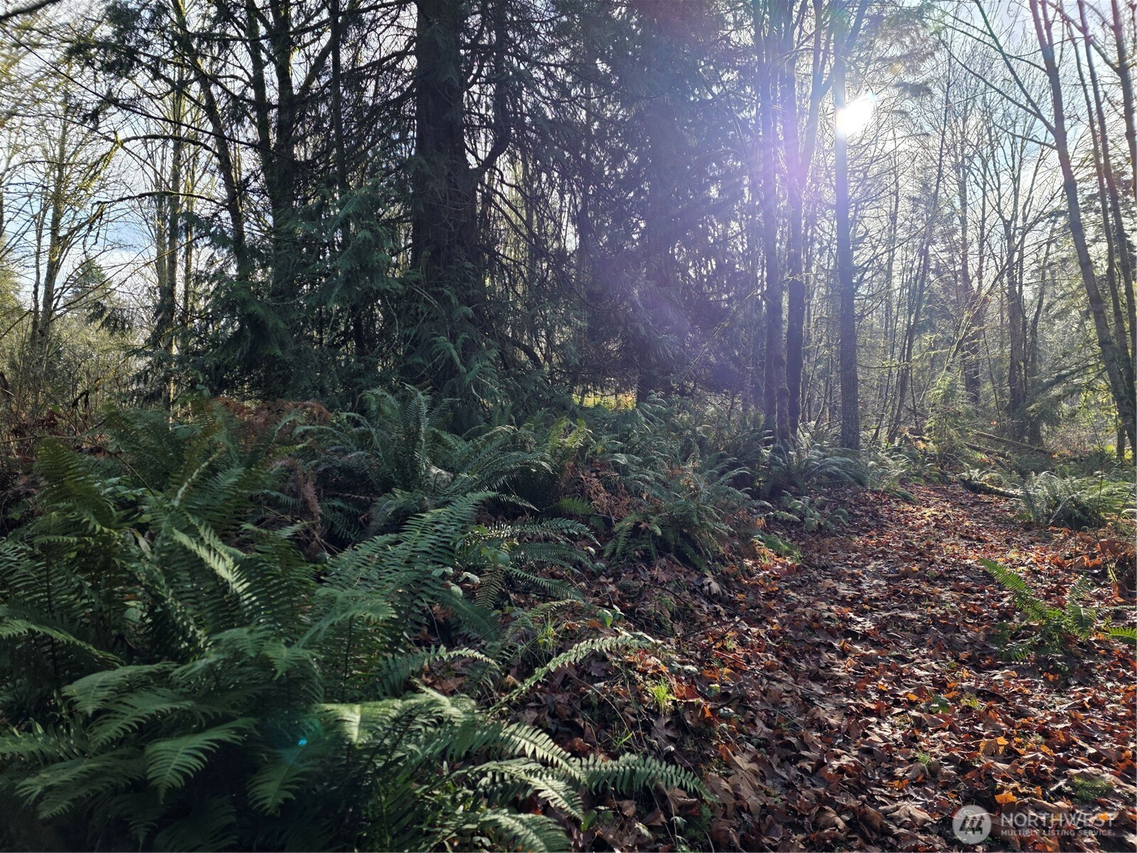 33722 Thomas Road East Eatonville, WA 98328 - Photo 10 of 24