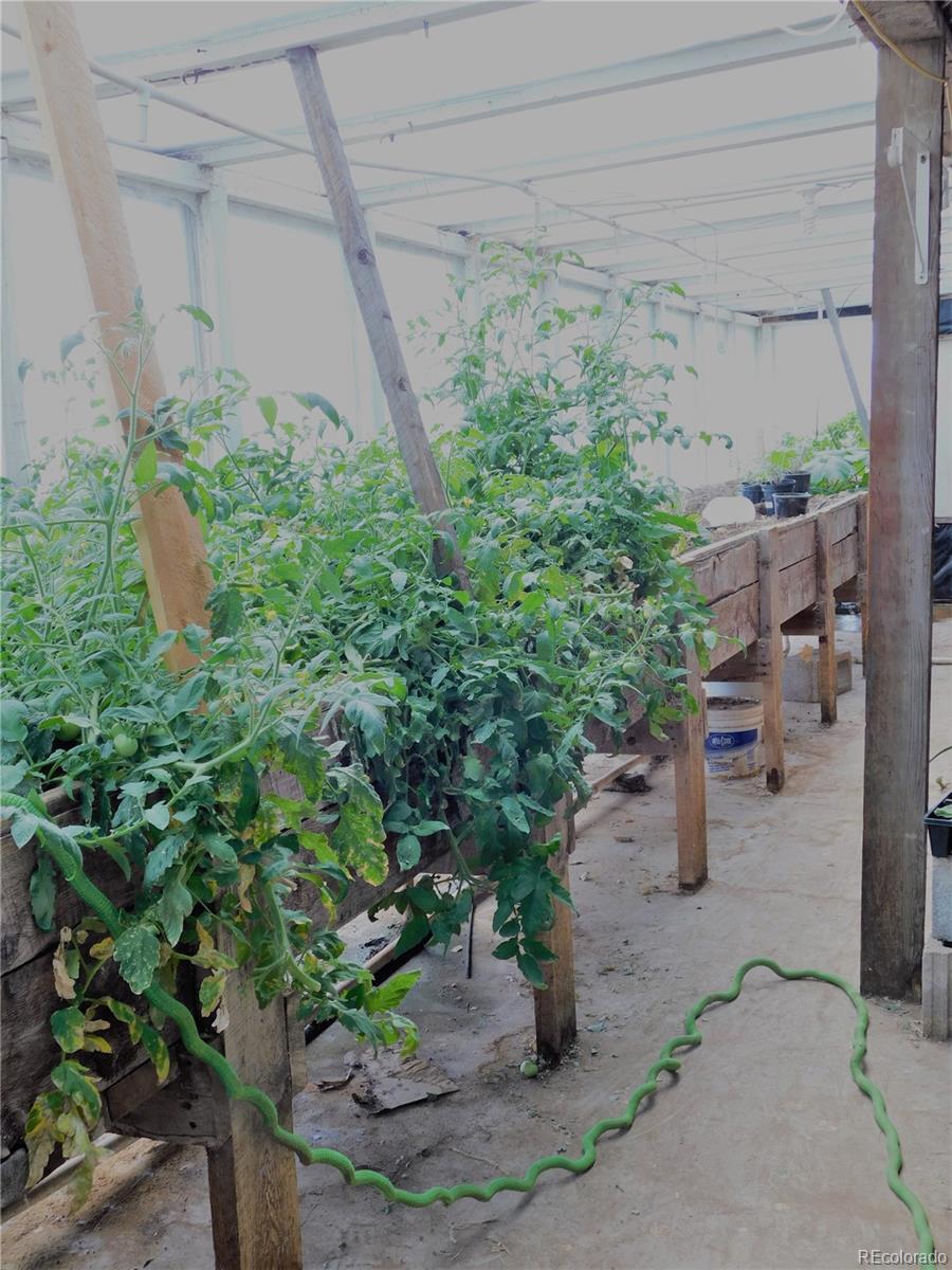 59501 County Rd GG Moffat, CO 81143 - Photo 18 of 25 a view of a yard with plants