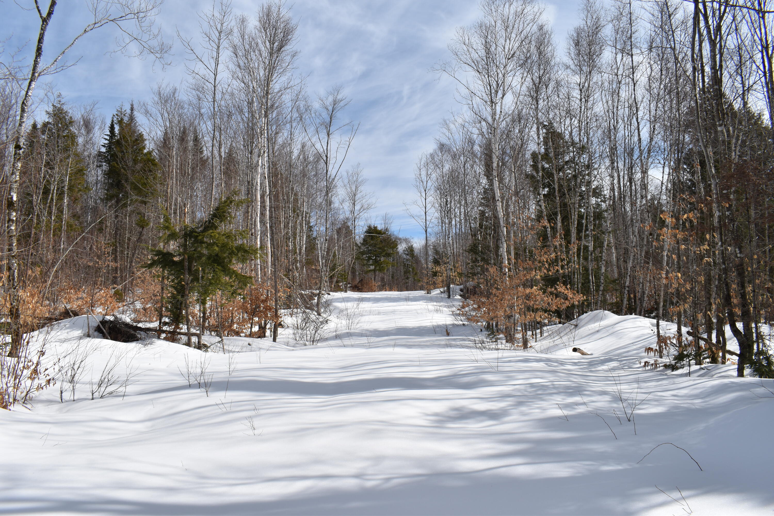 Lot 86 Freedom Way Springfield, ME 04487 - Photo 9 of 25 DSC_0277